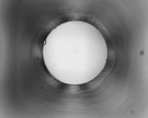 X0000103300719200809191854