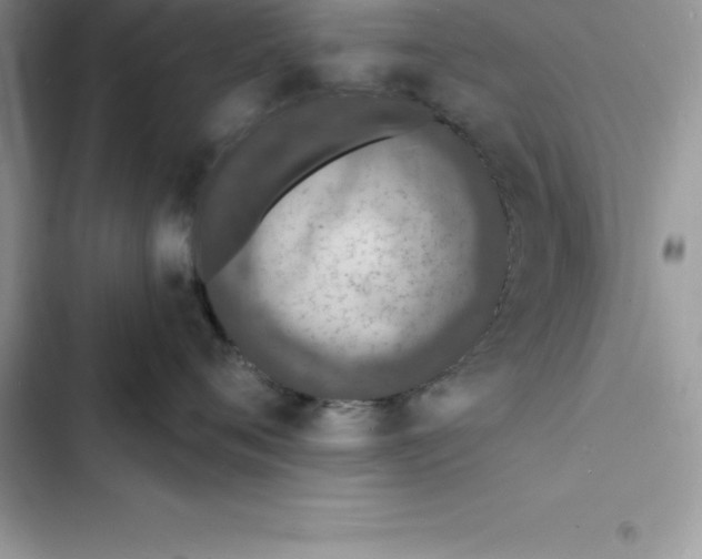 X0000103300720200809191854