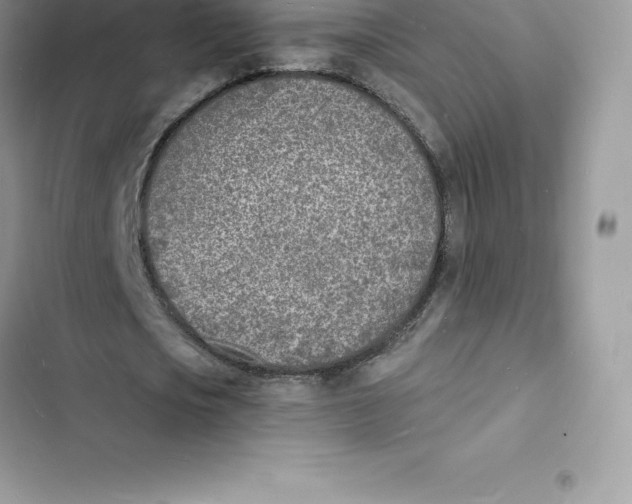 X0000103300721200809191853