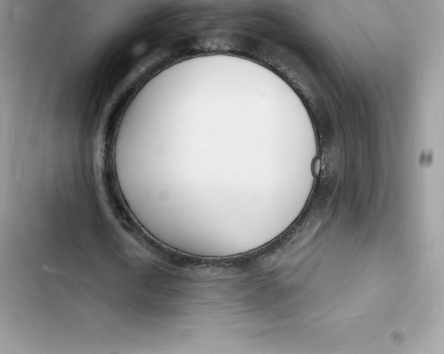 X0000103300722200809191853