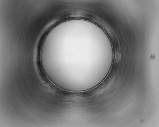 X0000103300724200809191853