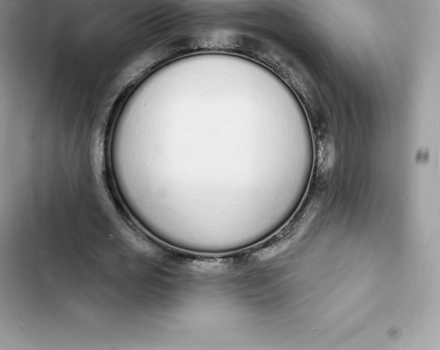 X0000103300725200809191853