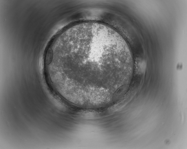 X0000103300726200809191853