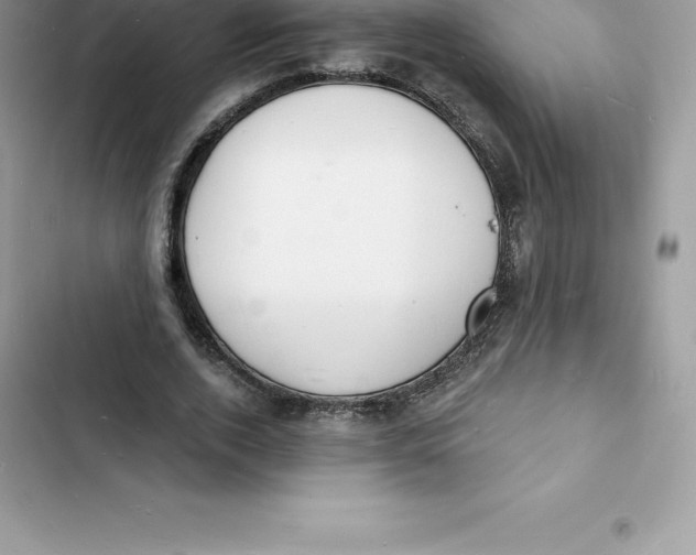 X0000103300728200809191853