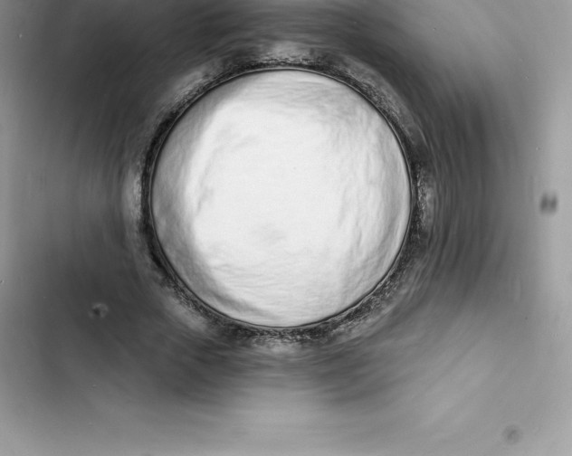 X0000103300729200809191853