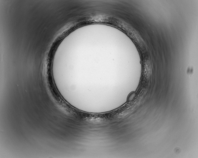 X0000103300730200809191853