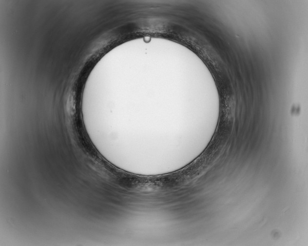 X0000103300731200809191853