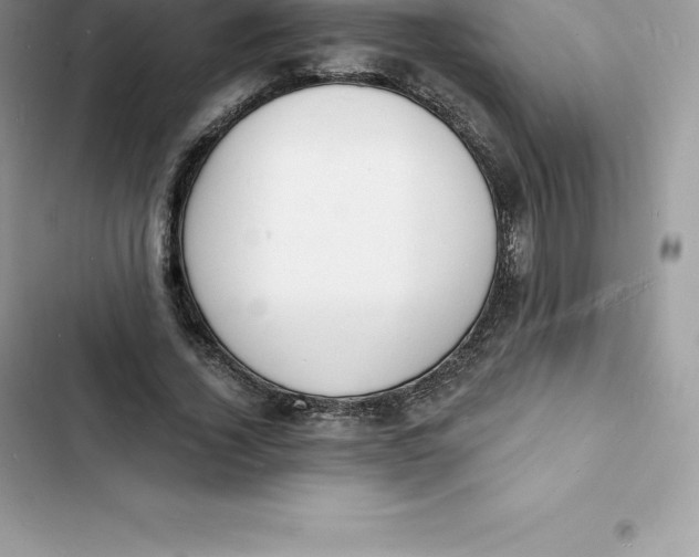 X0000103300732200809191853