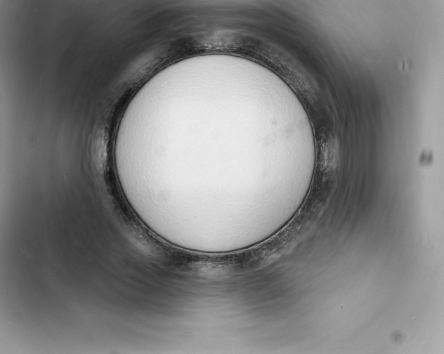 X0000103300733200809191854