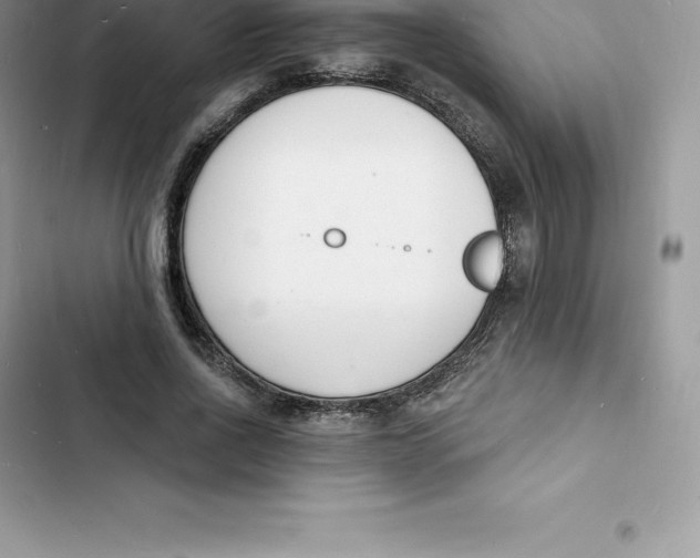 X0000103300734200809191854