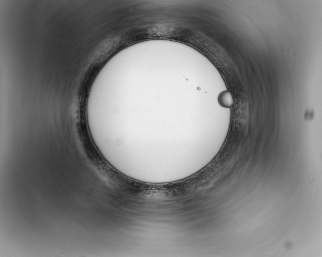 X0000103300738200809191854