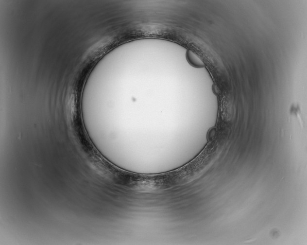 X0000103300740200809191854