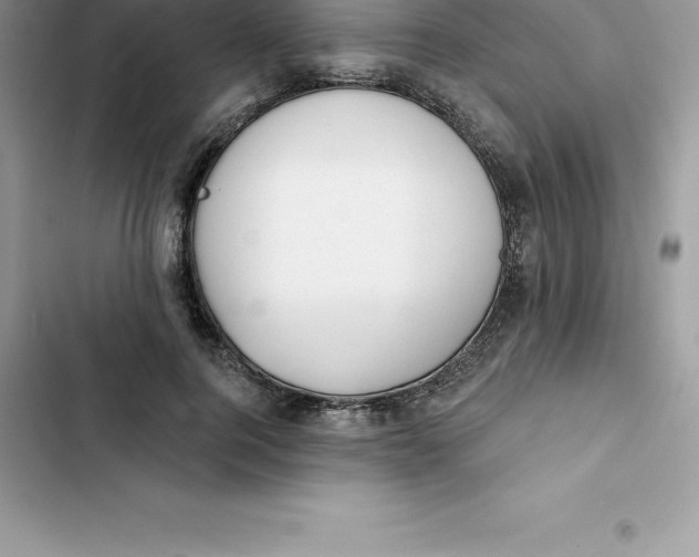 X0000103300744200809191854