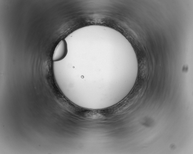 X0000103300747200809191854