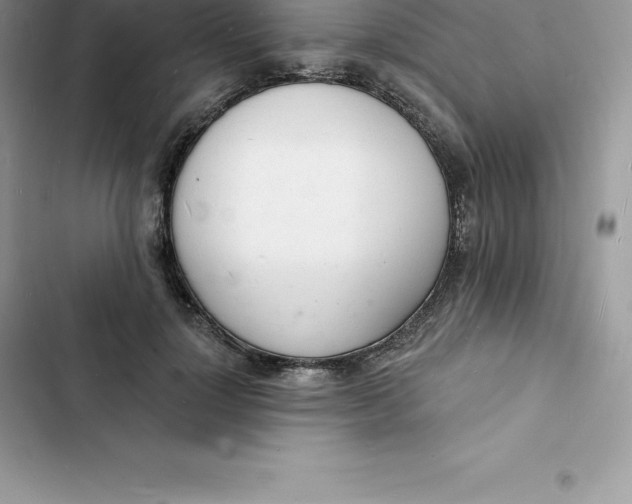 X0000103300748200809191854