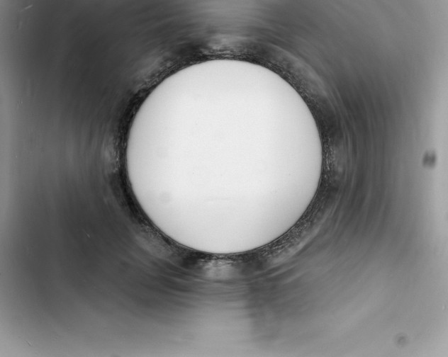 X0000103300751200809191854