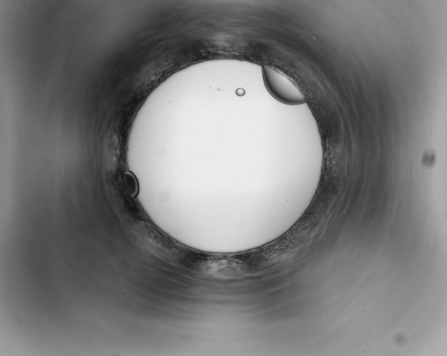 X0000103300752200809191854