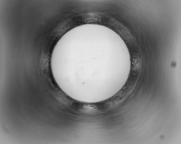 X0000103300753200809191854