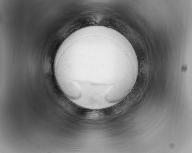 X0000103300754200809191854