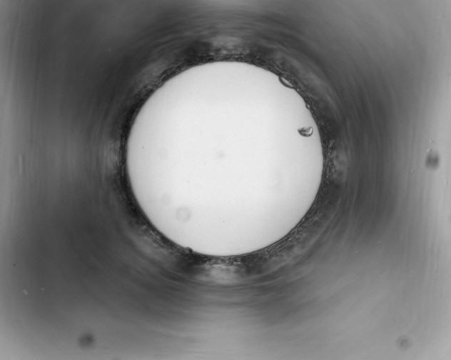 X0000103300756200809191854