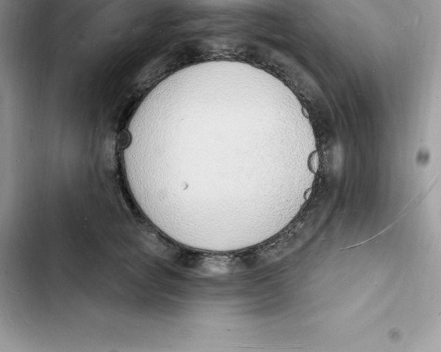 X0000103300757200809191854