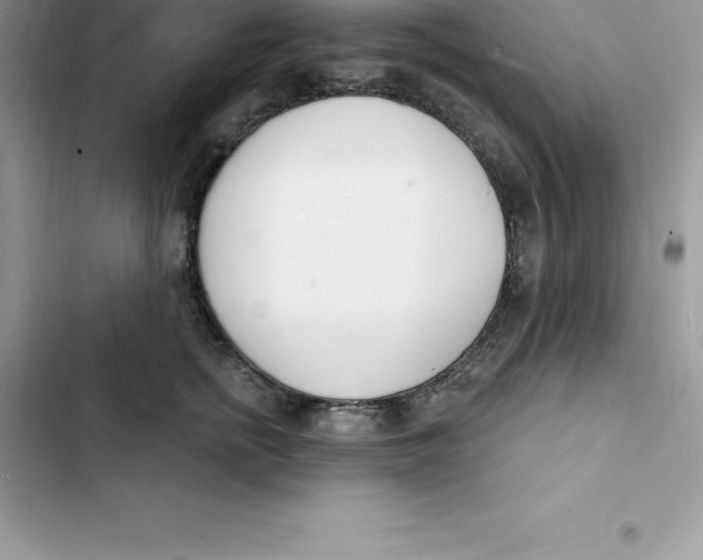 X0000103300758200809191854