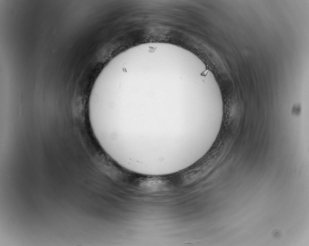 X0000103300759200809191854