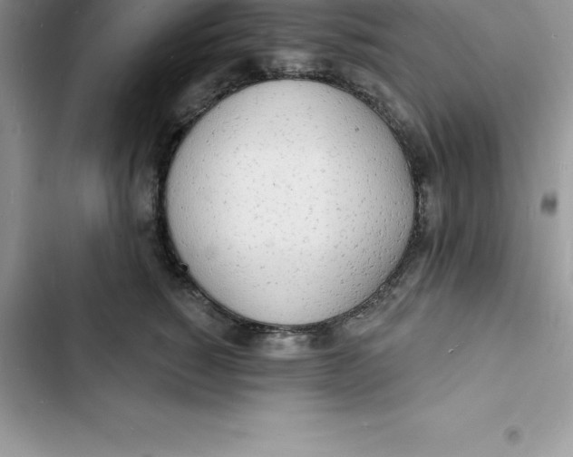 X0000103300760200809191854