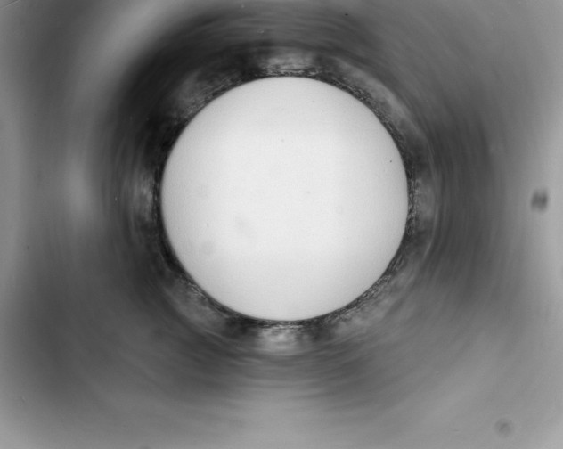 X0000103300761200809191854