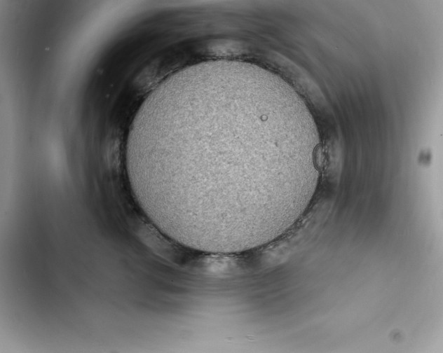 X0000103300762200809191854