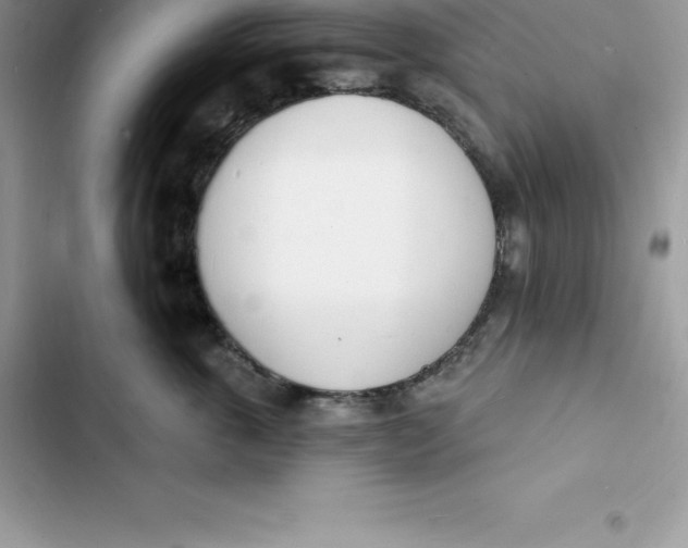 X0000103300763200809191854