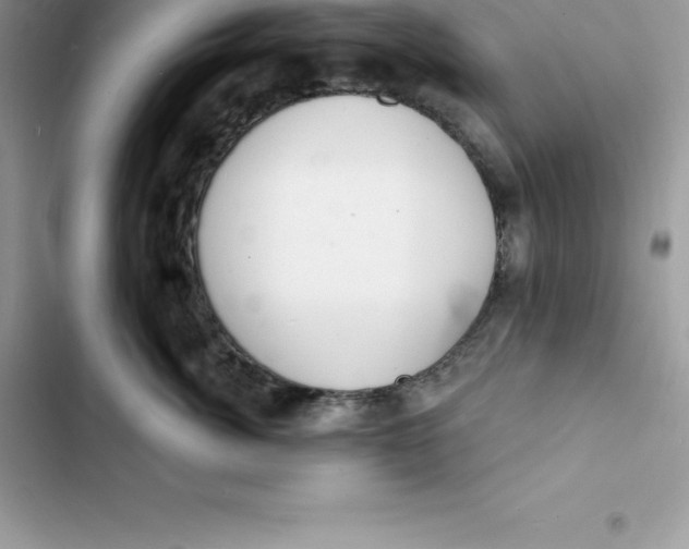 X0000103300764200809191854