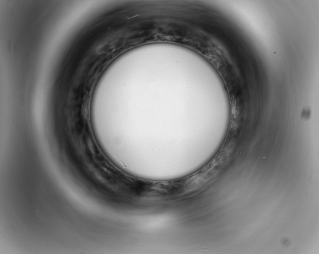 X0000103300765200809191854