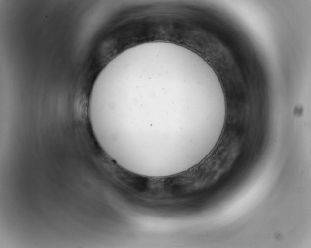 X0000103300766200809191854