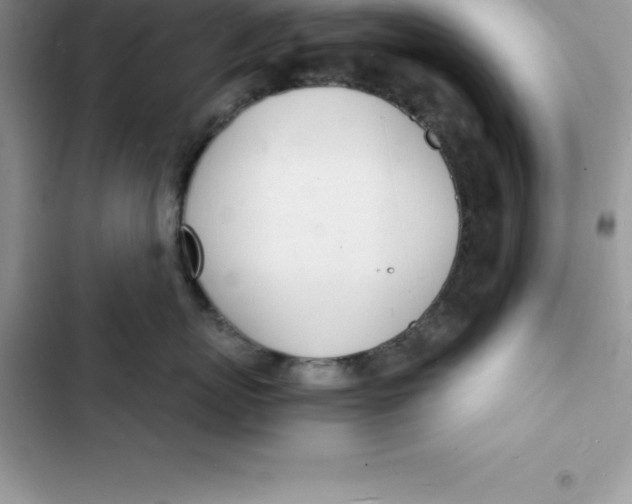 X0000103300767200809191854