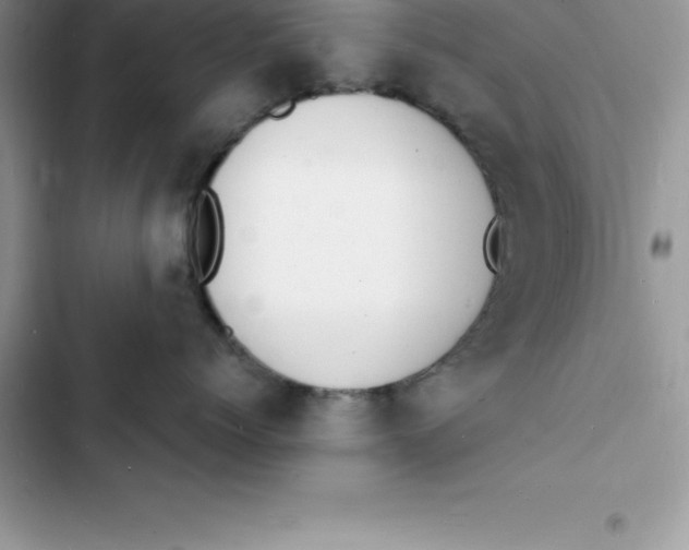 X0000103300768200809191854