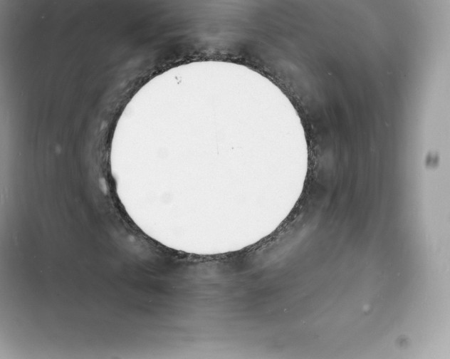 X0000103300769200809191853