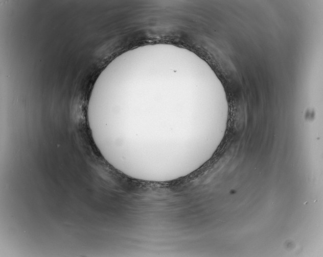 X0000103300770200809191853