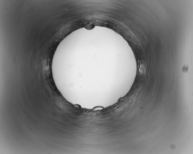 X0000103300771200809191853