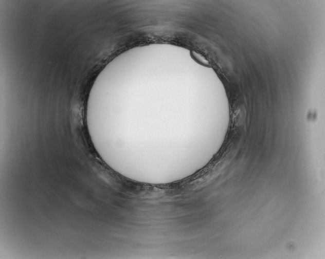 X0000103300772200809191853