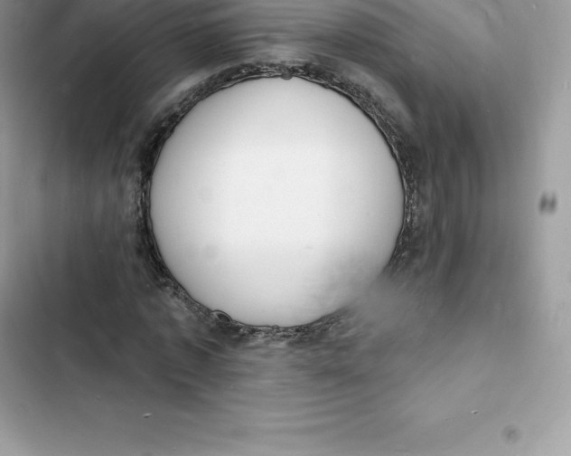 X0000103300773200809191853