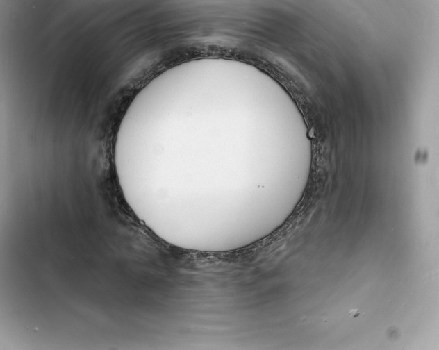 X0000103300774200809191853