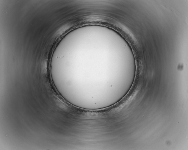 X0000103300777200809191853