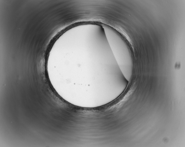 X0000103300781200809191853