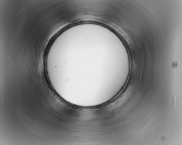 X0000103300782200809191853