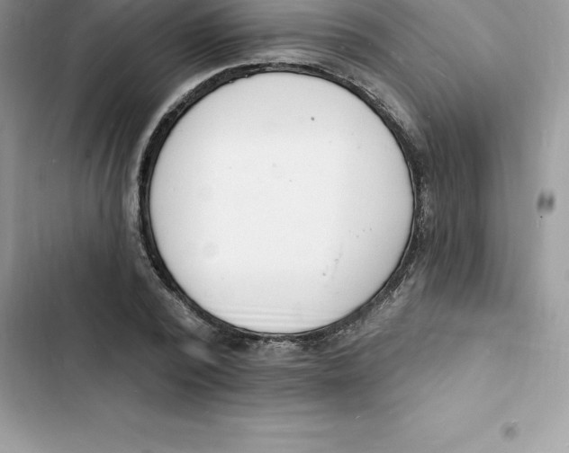 X0000103300784200809191853