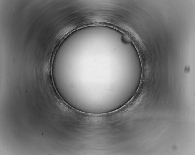 X0000103300785200809191853