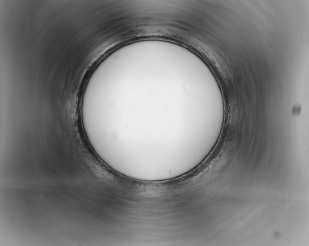 X0000103300786200809191853