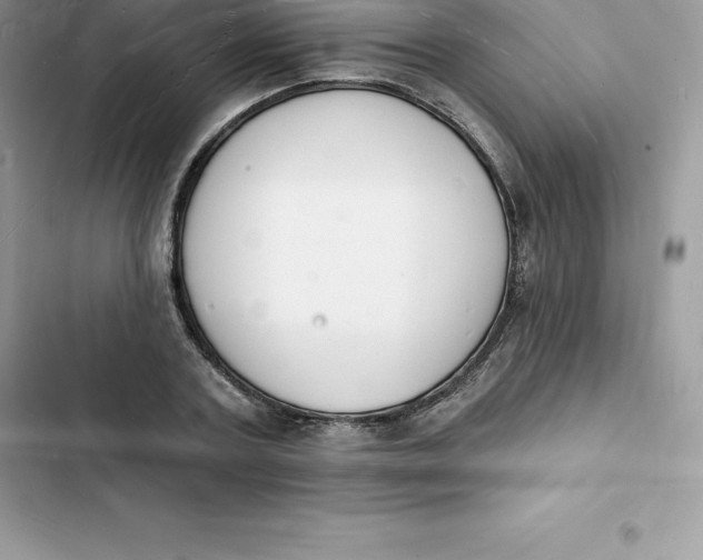 X0000103300787200809191853