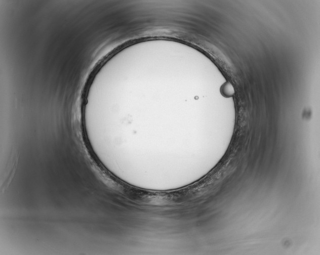 X0000103300792200809191853